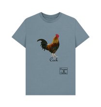 Stone Blue Printed T-shirt Front